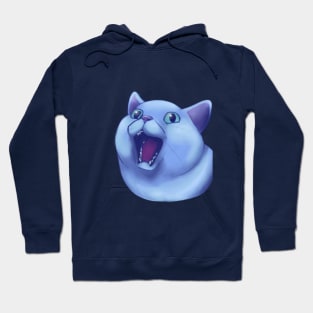 Silly Cat #1 Hoodie